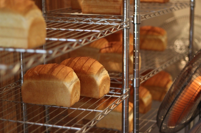 パンの味は水で決まる？